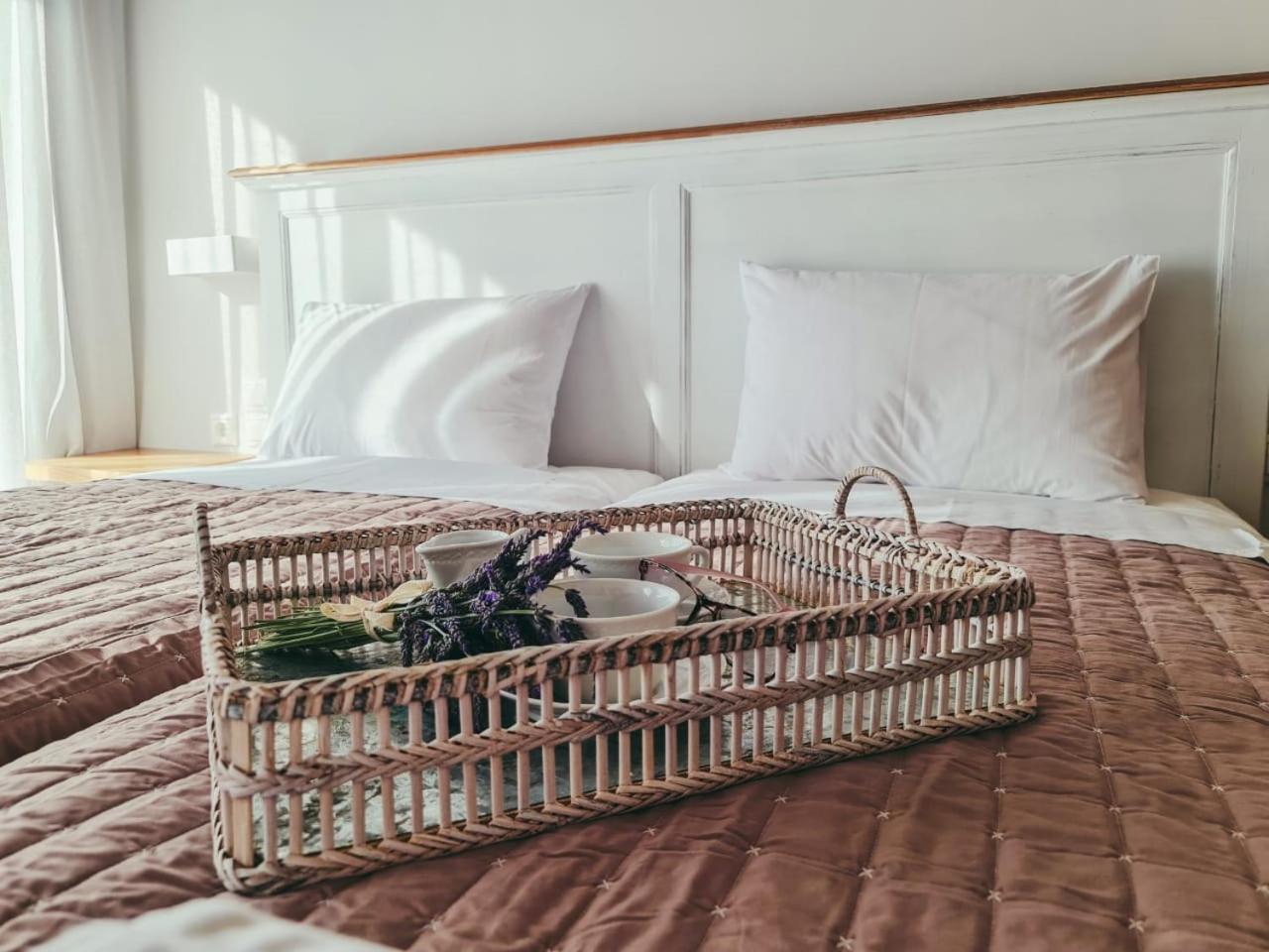 Owl Villas Δρυμώνας Εξωτερικό φωτογραφία